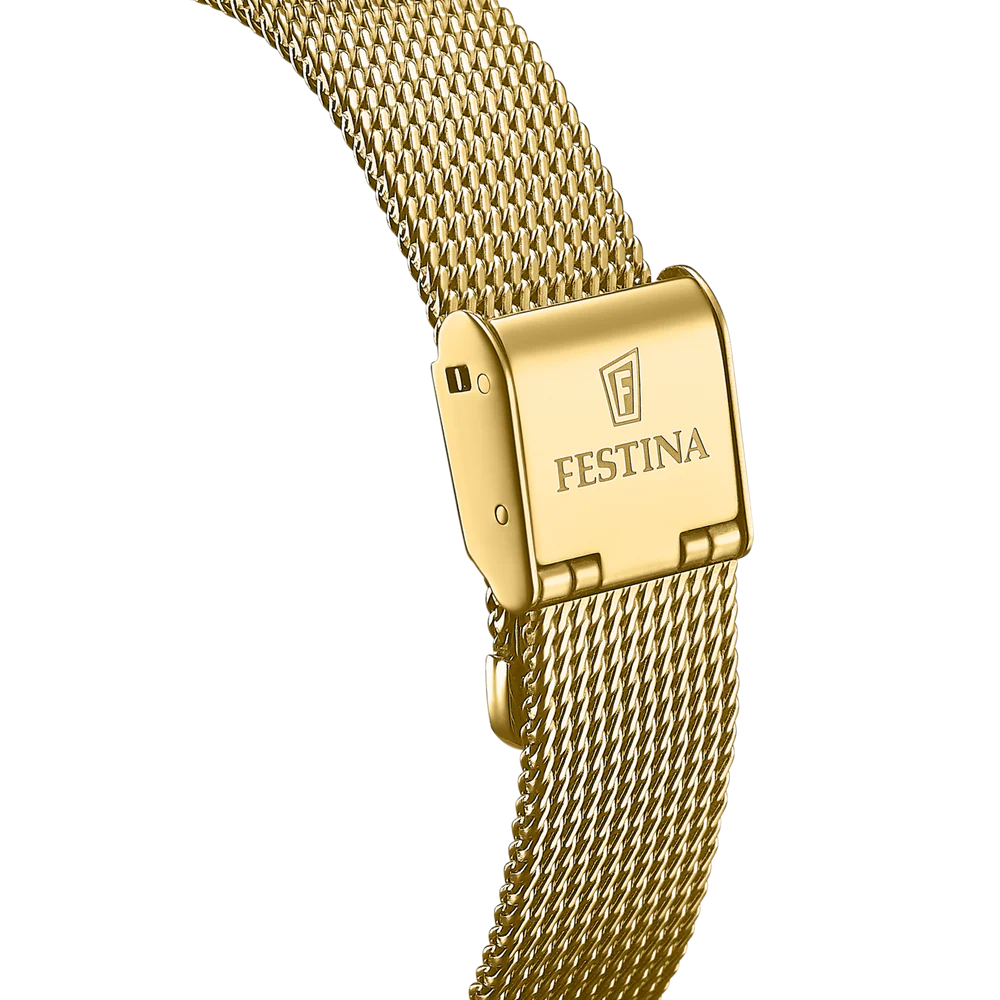 Montre Festina F20629/1